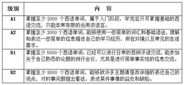 西班牙语考试准备课程：提升你的语言技能与