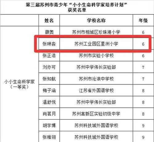 stem课程优缺点