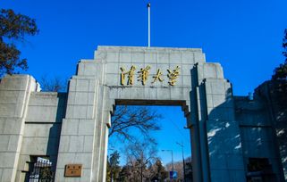 清华大学 改革