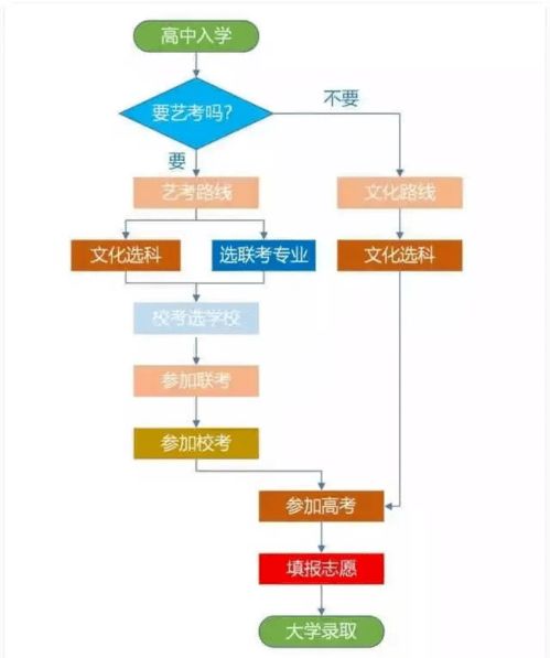 参加艺术高考怎么规划