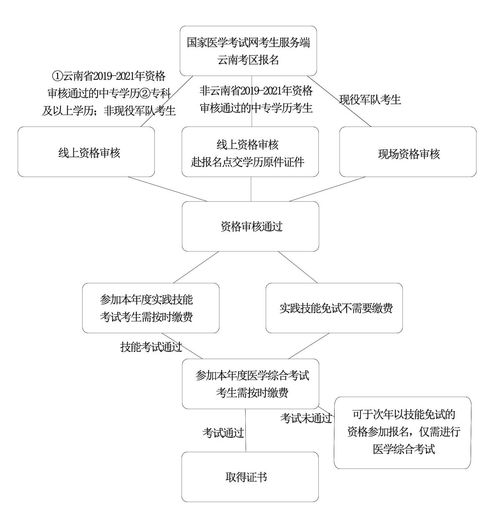 医师资格考试流程解析及答案